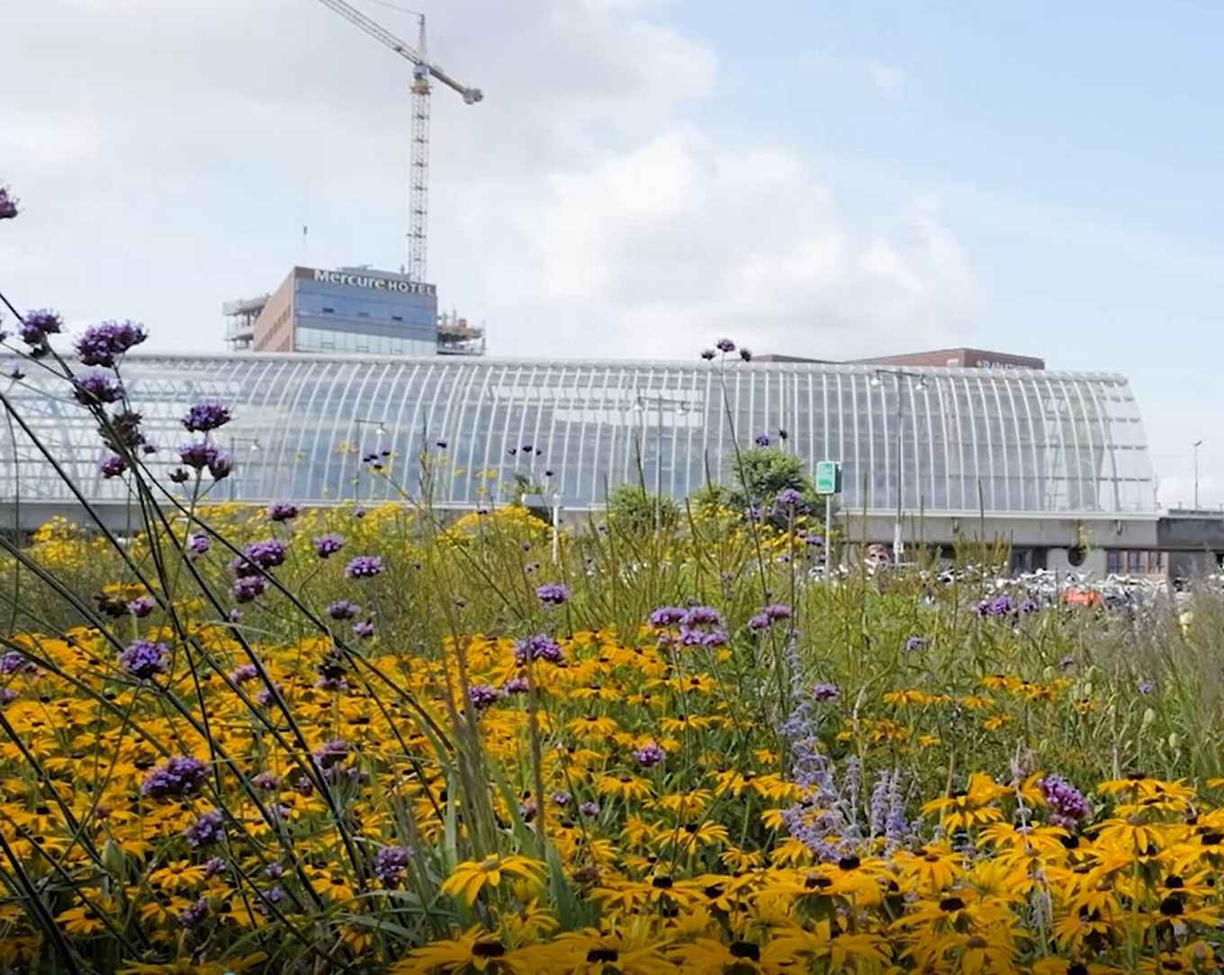 Green project at the trainstation Sloterdijk in Amsterdam