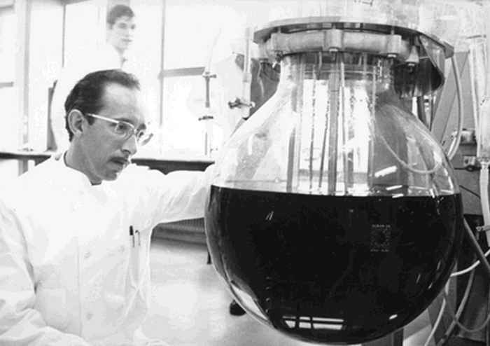 Picture of the Bilthoven unit-scientist working in lab
